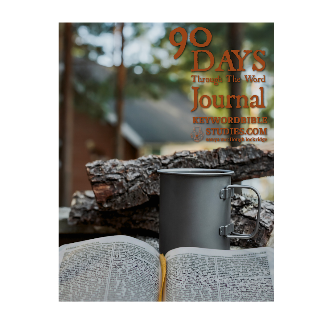 Man Camp: 90 Days Through The Word Journal